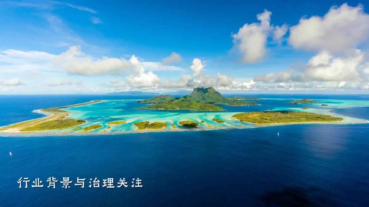 行业背景与治理关注