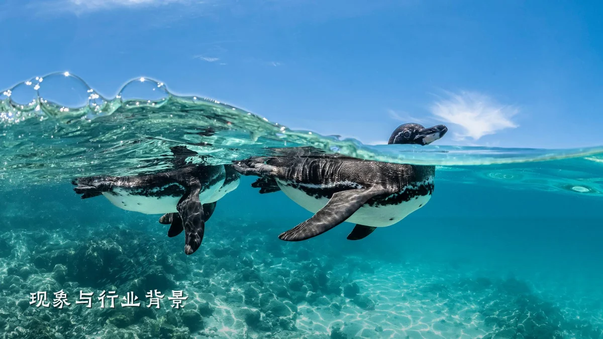 现象与行业背景