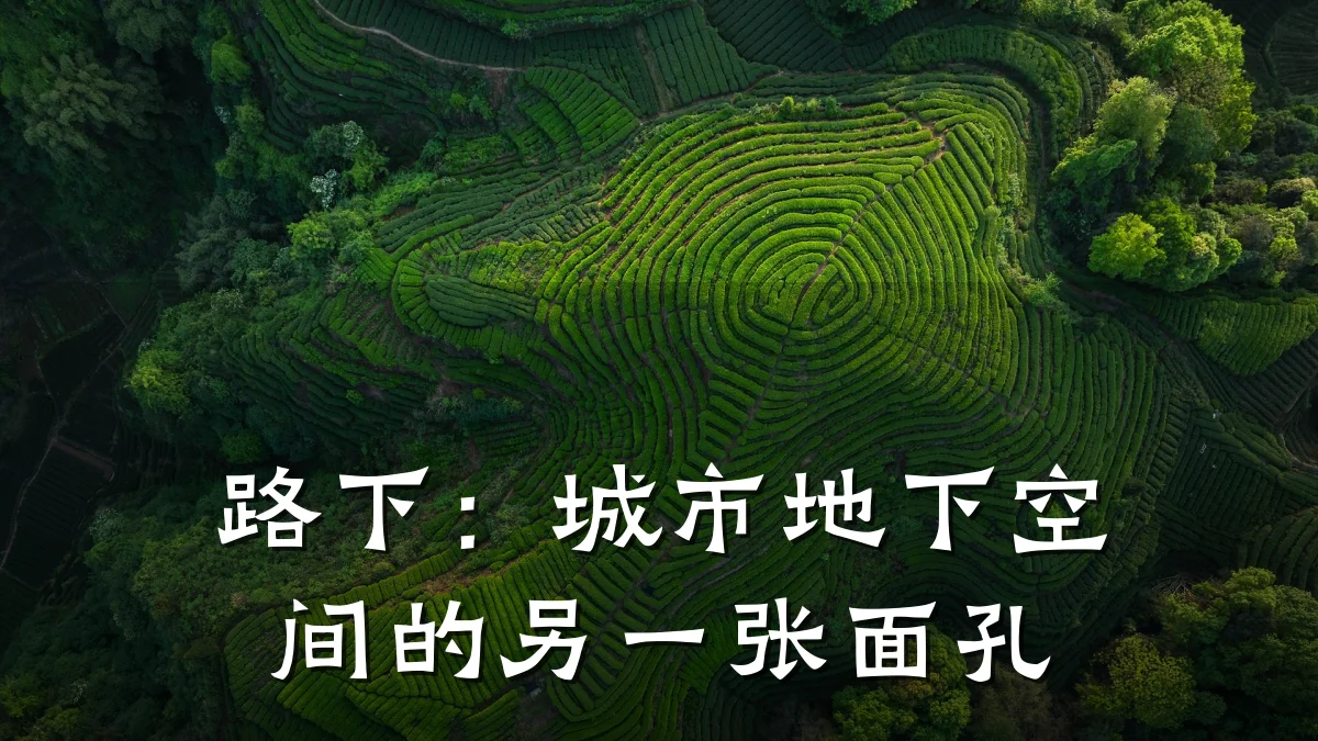 路下:城市地下空间的另一张面孔