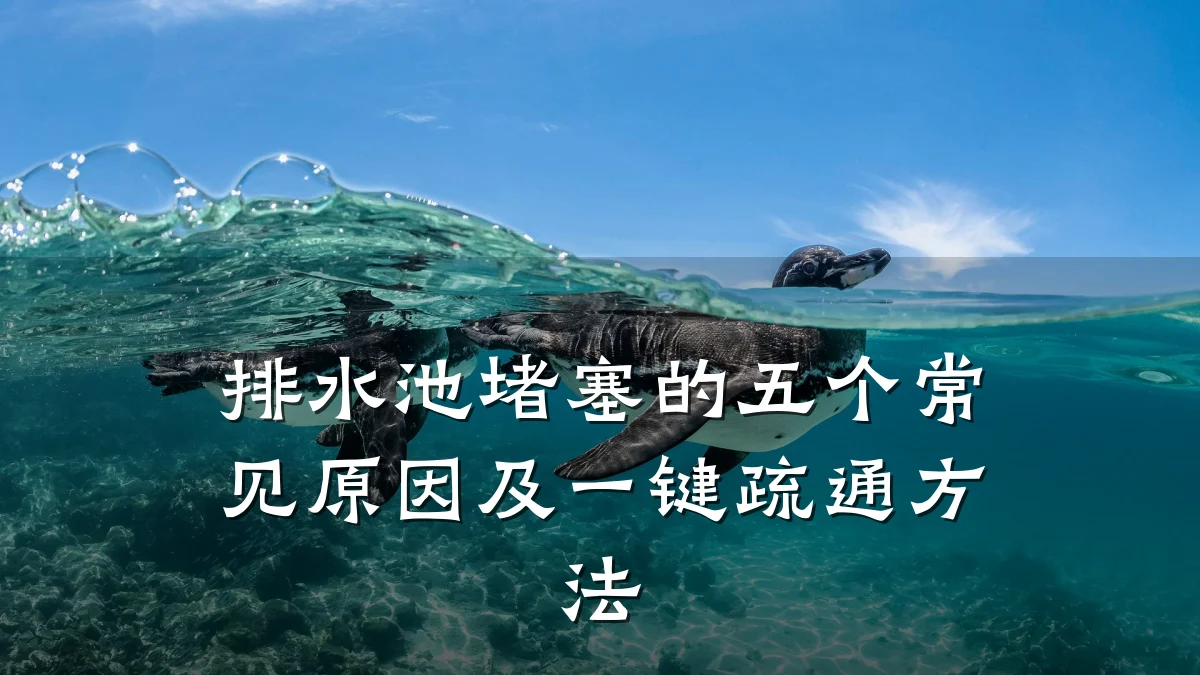 排水池堵塞的五个常见原因及一键疏通方法