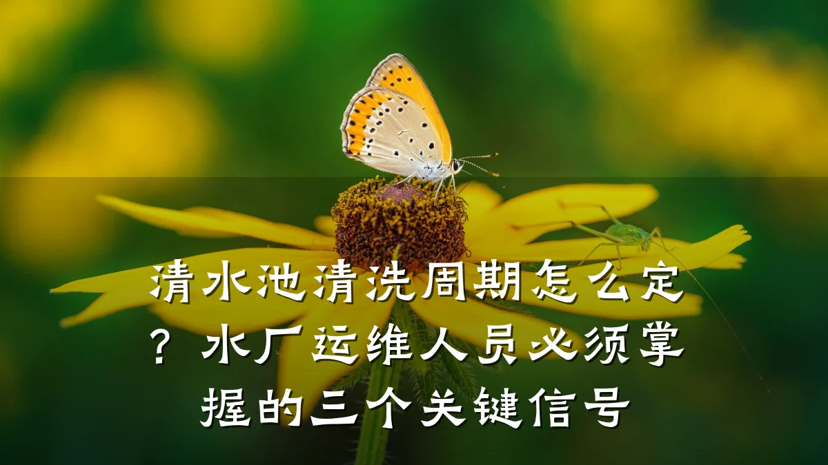 清水池清洗周期怎么定?水厂运维人员必须掌握的三个关键信号