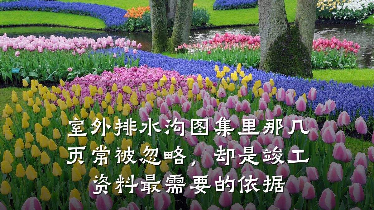 室外排水沟图集里那几页常被忽略,却是竣工资料最需要的依据