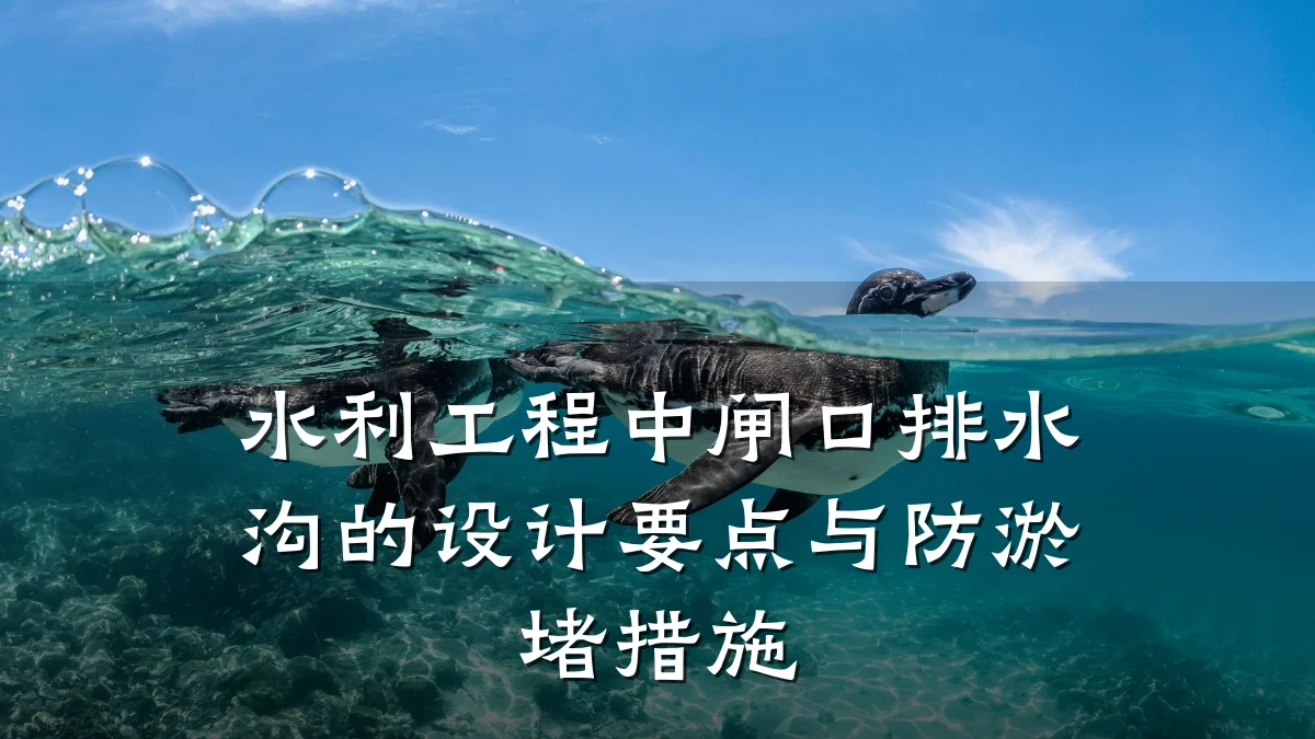水利工程中闸口排水沟的设计要点与防淤堵措施
