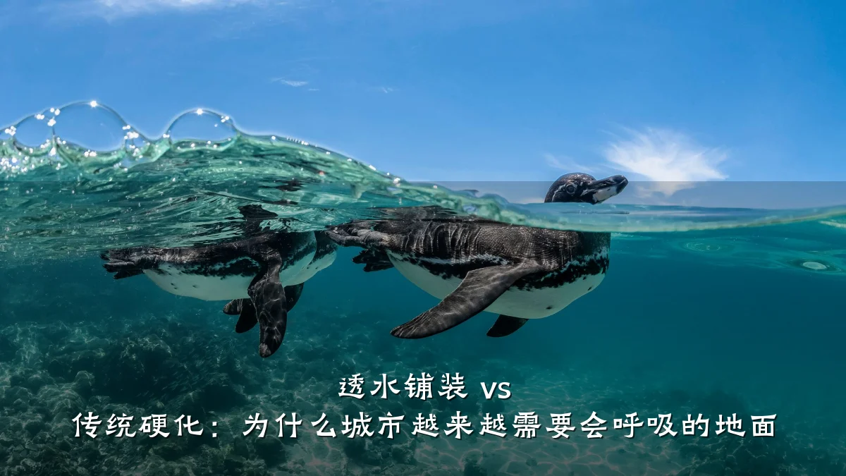 透水铺装 vs 传统硬化:为什么城市越来越需要会呼吸的地面