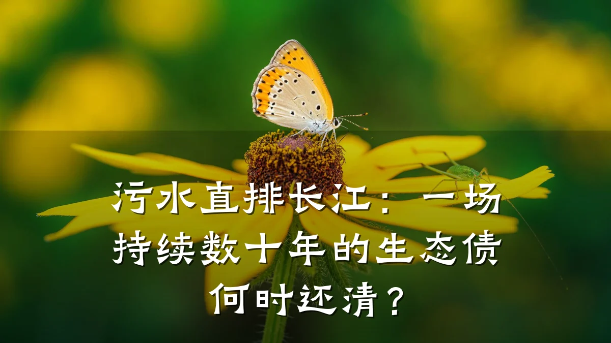 污水直排长江:一场持续数十年的生态债何时还清?
