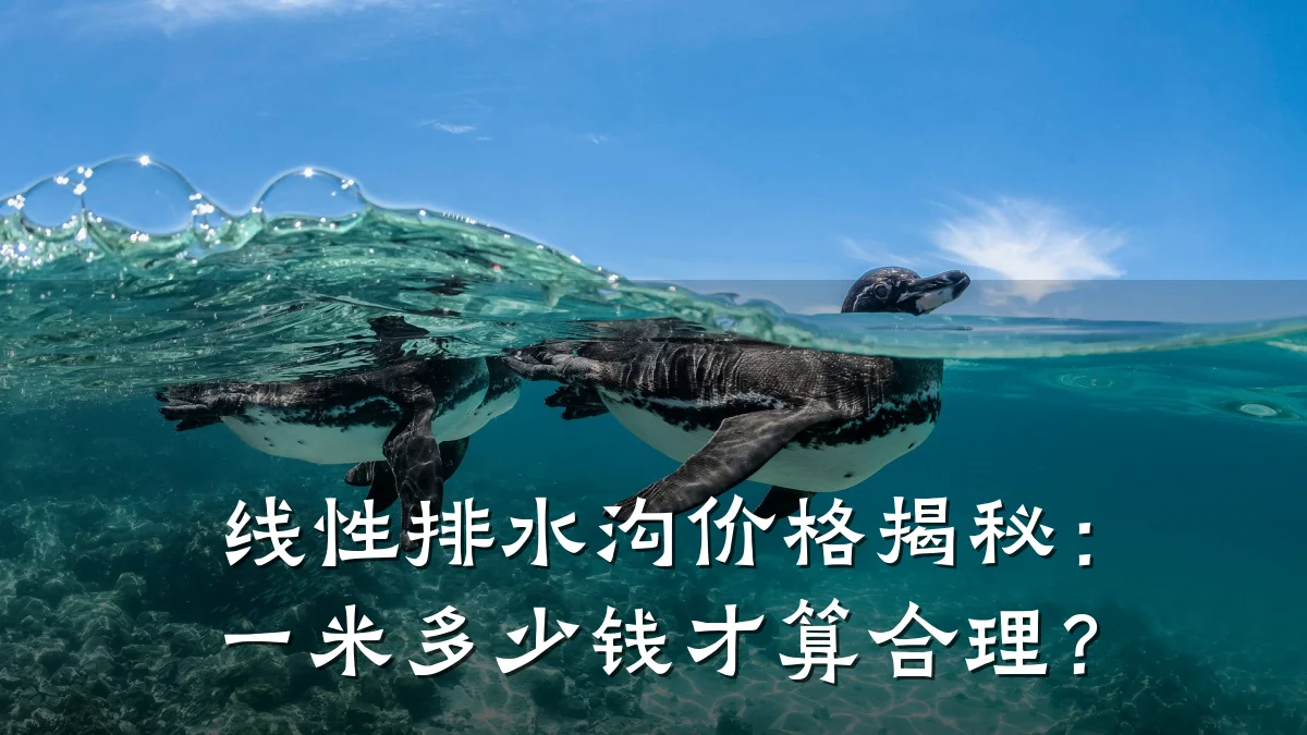 线性排水沟价格揭秘:一米多少钱才算合理?