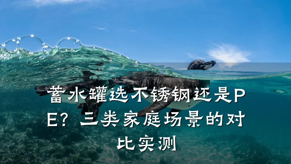 蓄水罐选不锈钢还是PE?三类家庭场景的对比实测