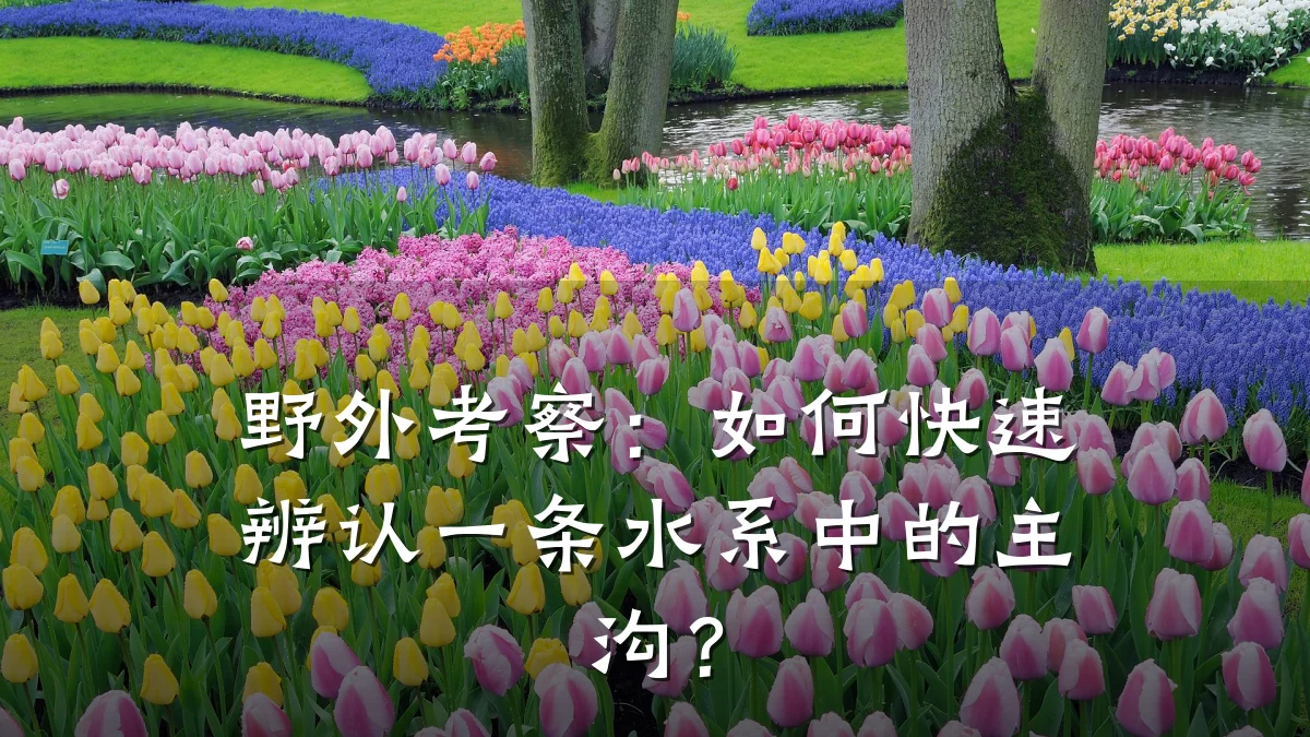 野外考察:如何快速辨认一条水系中的主沟?