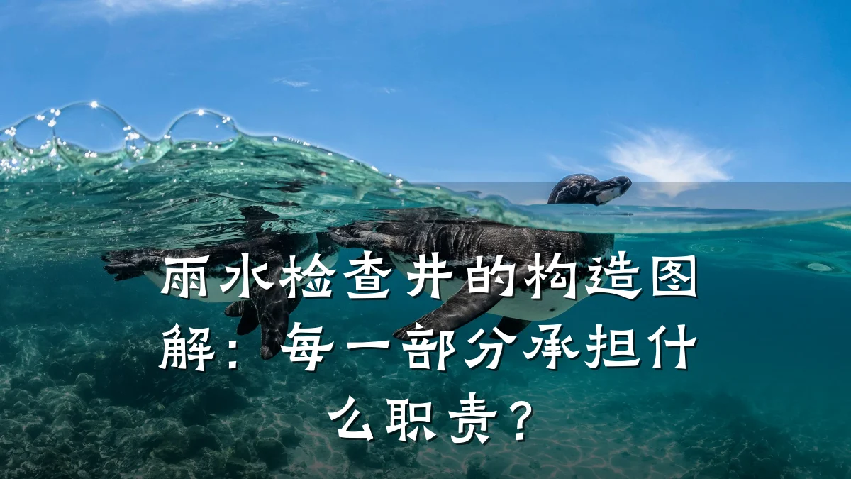 雨水检查井的构造图解:每一部分承担什么职责?
