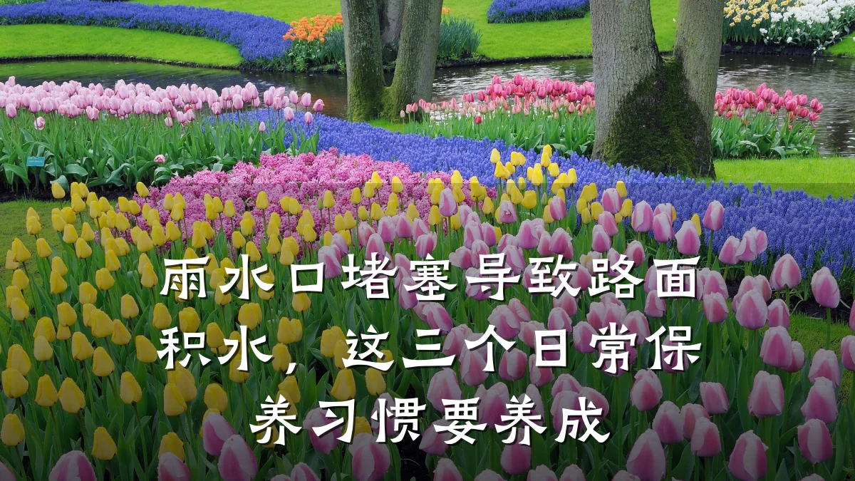 雨水口堵塞导致路面积水,这三个日常保养习惯要养成