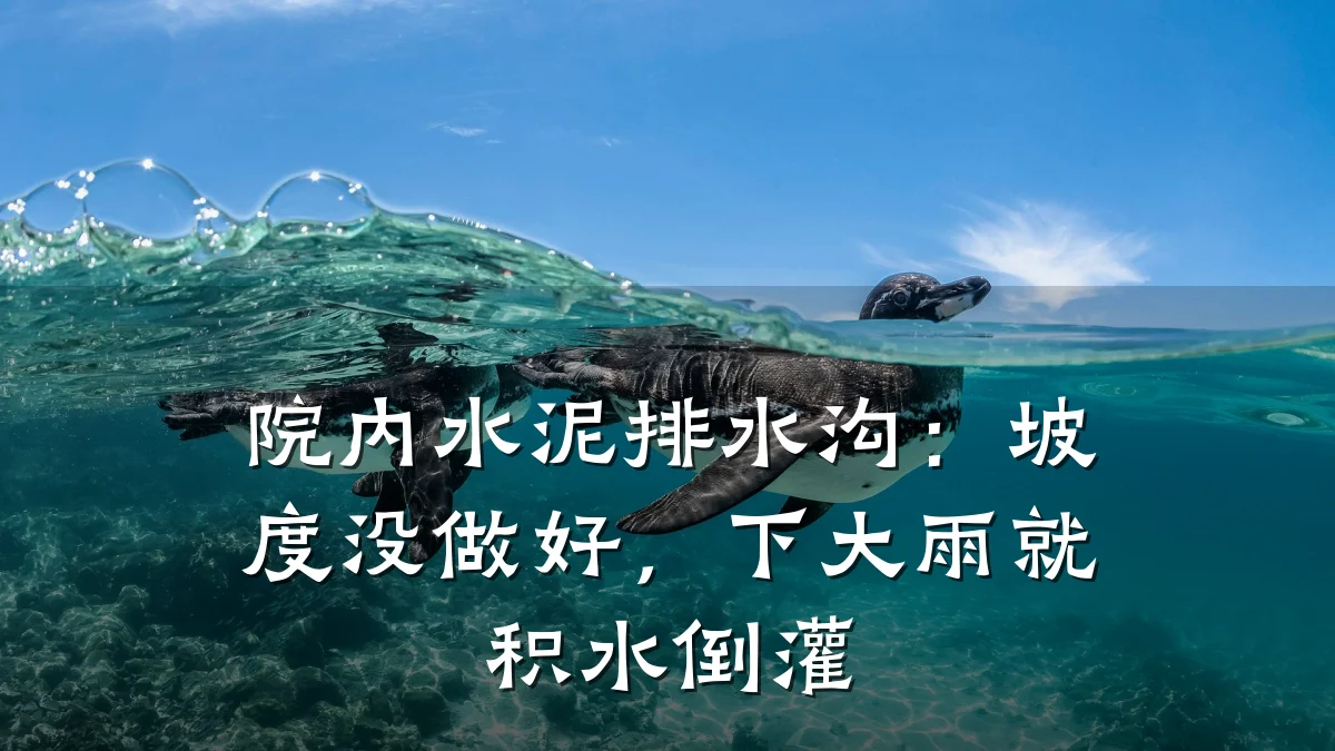 院内水泥排水沟:坡度没做好,下大雨就积水倒灌