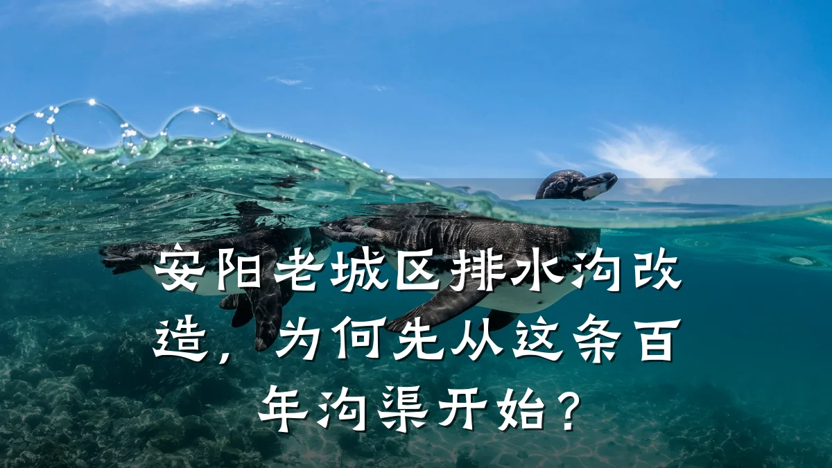 安阳老城区排水沟改造,为何先从这条百年沟渠开始?