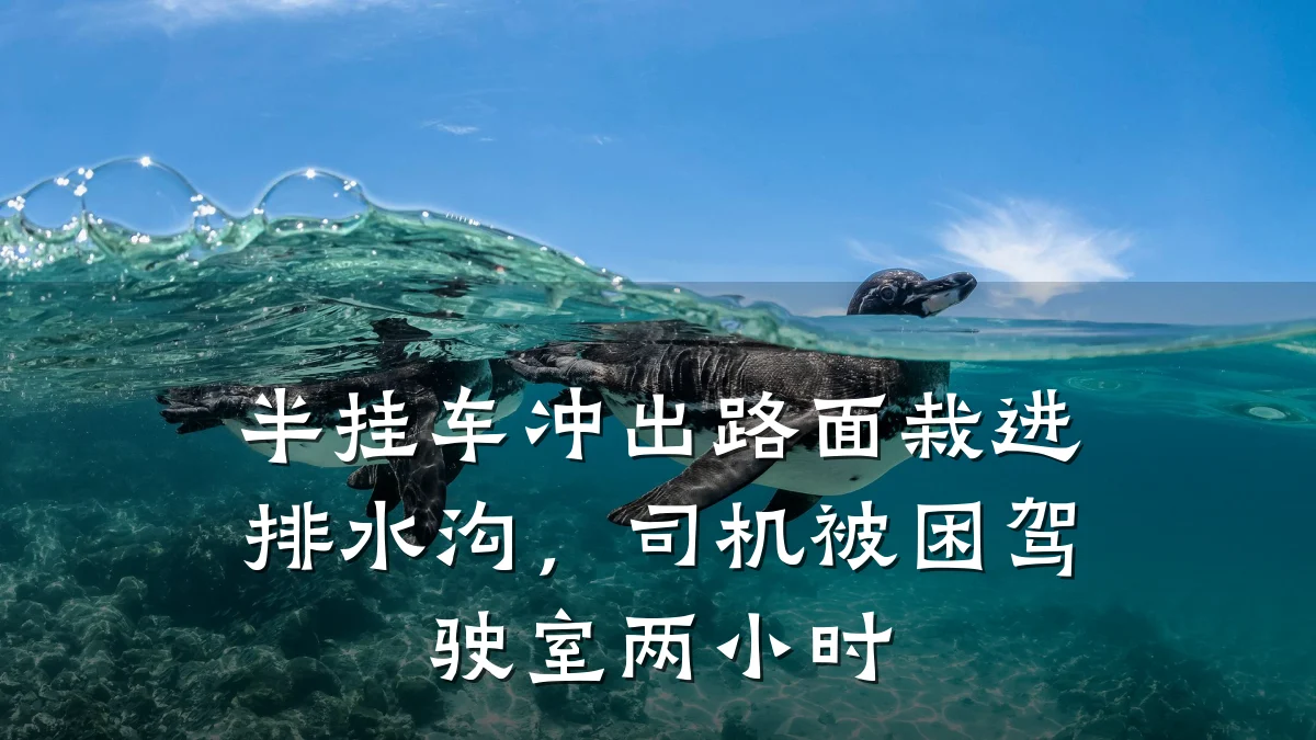 半挂车冲出路面栽进排水沟,司机被困驾驶室两小时
