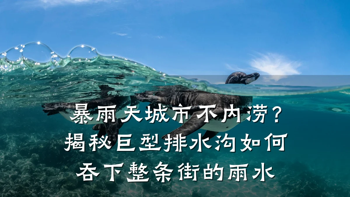 暴雨天城市不内涝?揭秘巨型排水沟如何吞下整条街的雨水