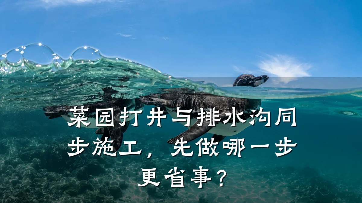 菜园打井与排水沟同步施工,先做哪一步更省事?