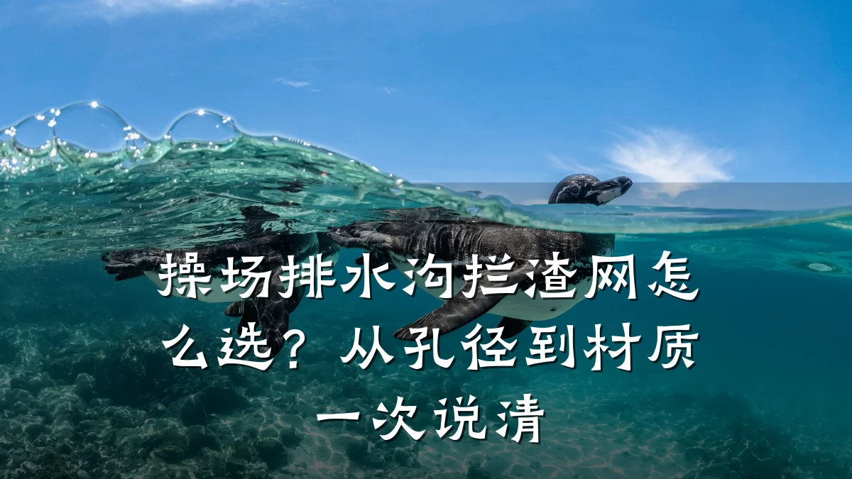 操场排水沟拦渣网怎么选?从孔径到材质一次说清