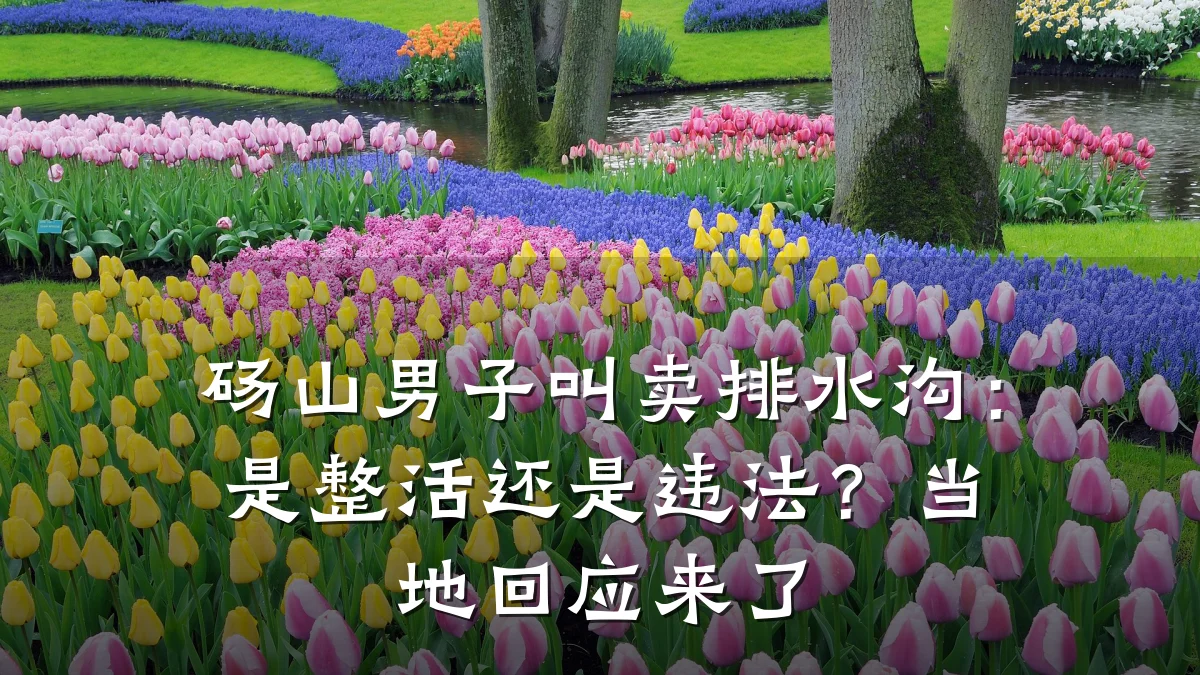 砀山男子叫卖排水沟:是整活还是违法?当地回应来了