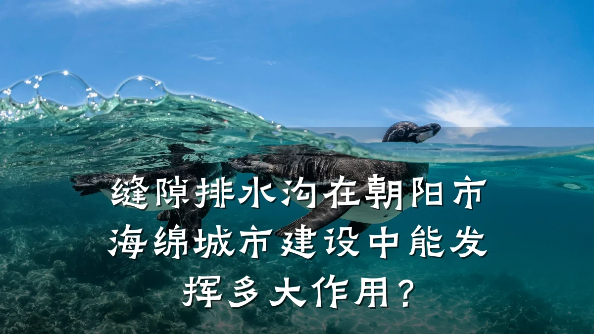 缝隙排水沟在朝阳市海绵城市建设中能发挥多大作用?