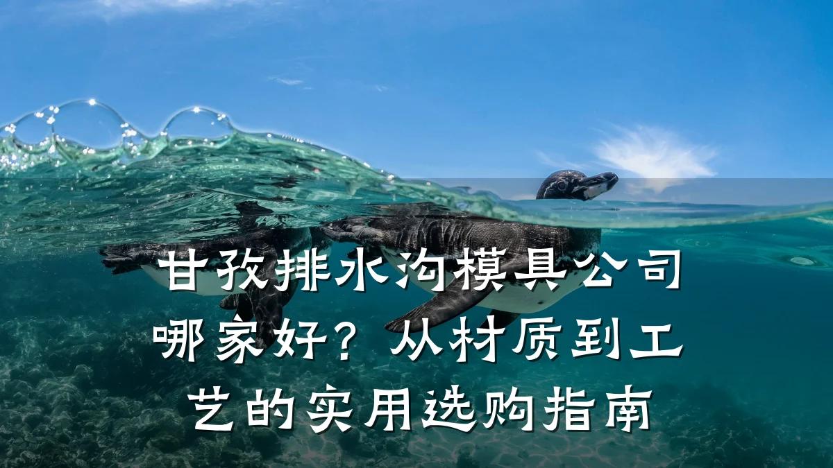 甘孜排水沟模具公司哪家好？从材质到工艺的实用选购指南