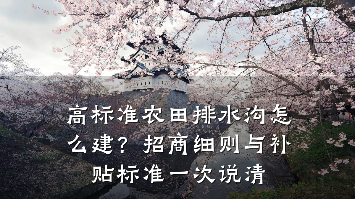 高标准农田排水沟怎么建?招商细则与补贴标准一次说清