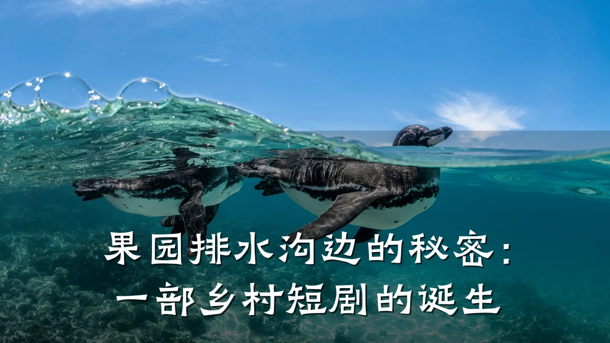果园排水沟边的秘密:一部乡村短剧的诞生