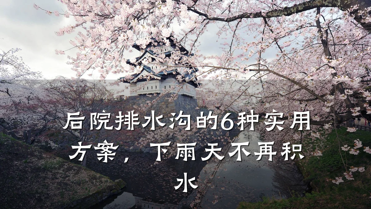 后院排水沟的6种实用方案,下雨天不再积水