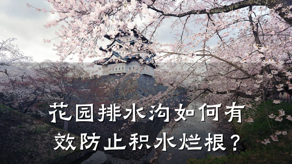 花园排水沟如何有效防止积水烂根?