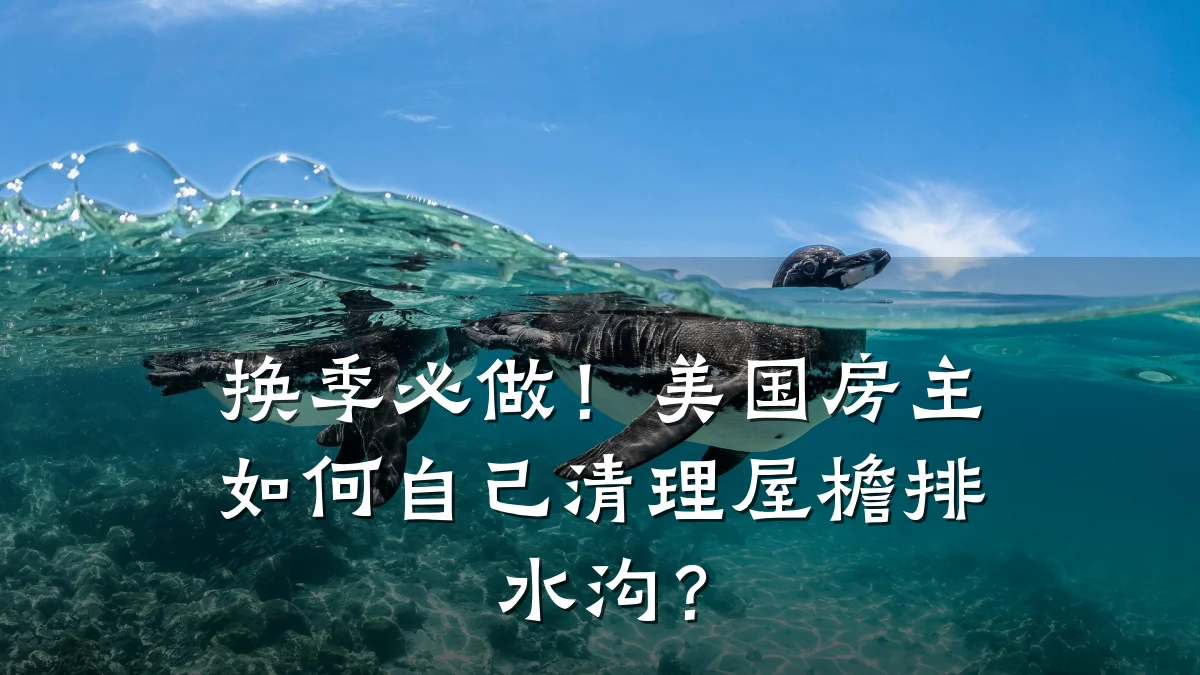 换季必做!美国房主如何自己清理屋檐排水沟?
