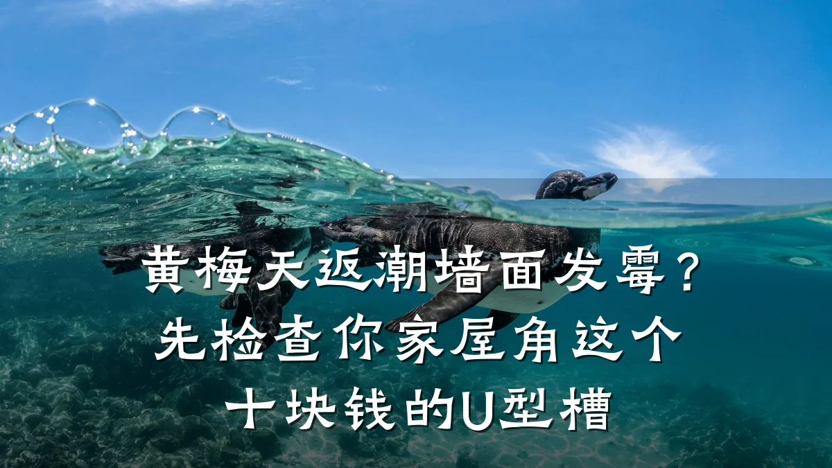 黄梅天返潮墙面发霉?先检查你家屋角这个十块钱的U型槽