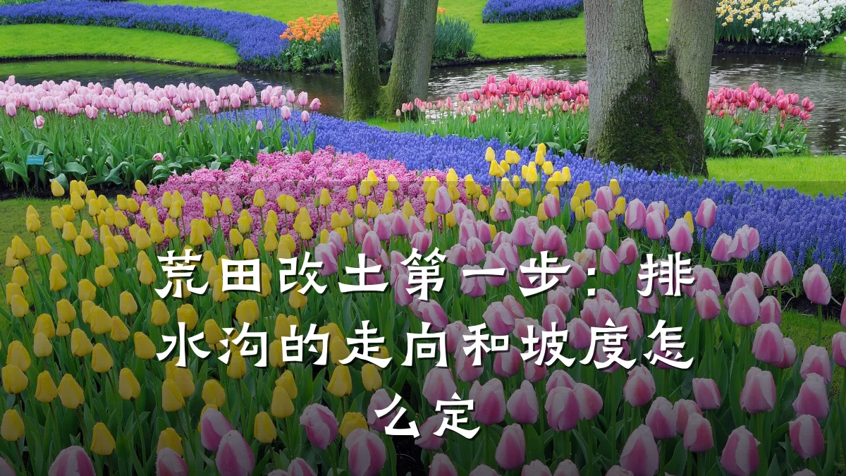 荒田改土第一步:排水沟的走向和坡度怎么定