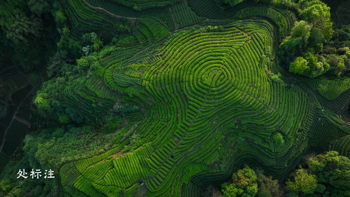 处标注