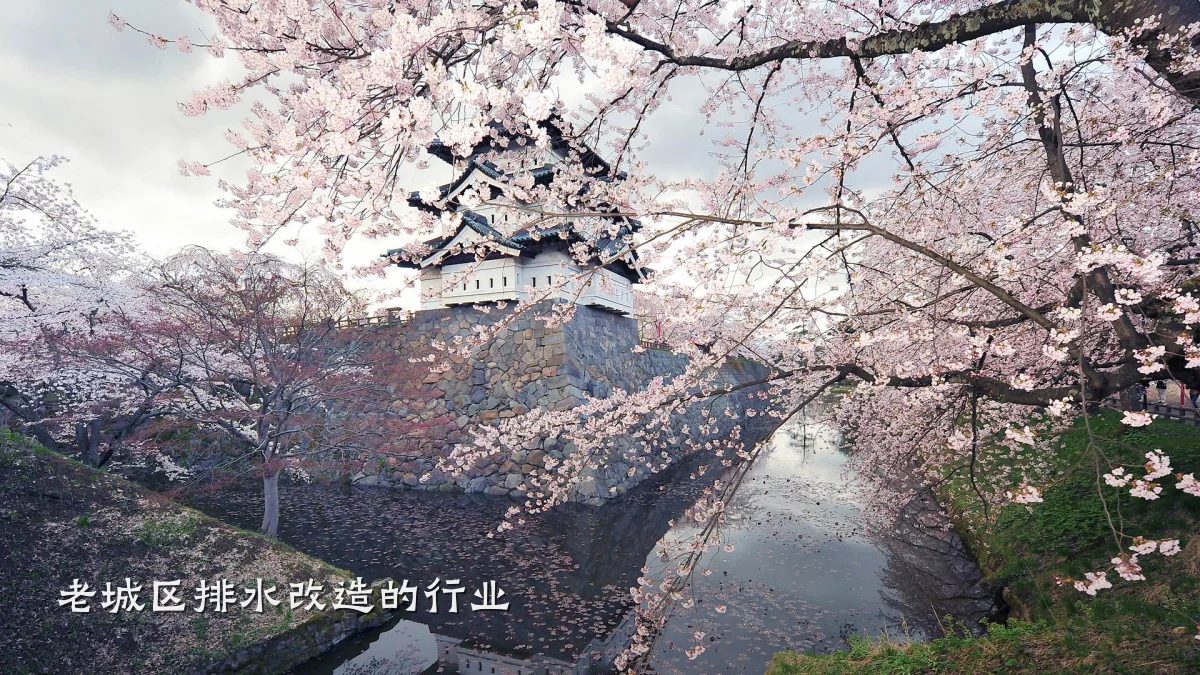 老城区排水改造的行业