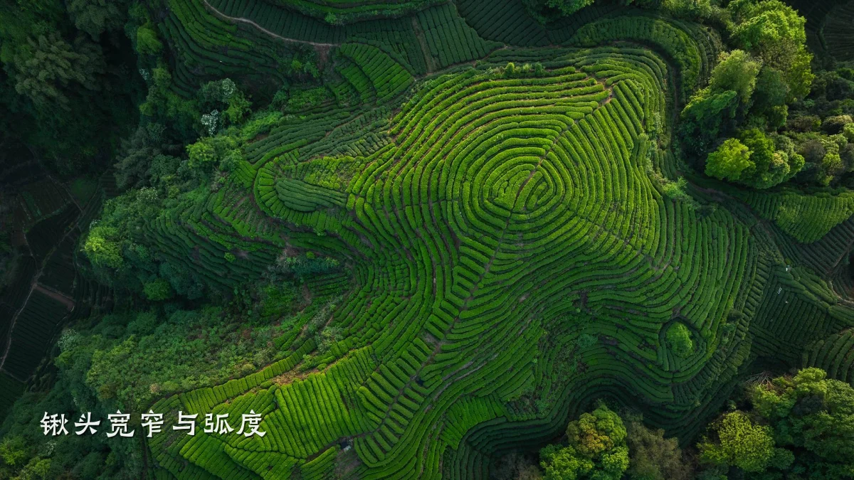锹头宽窄与弧度