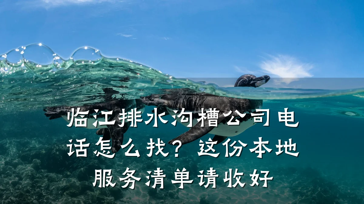 临江排水沟槽公司电话怎么找？这份本地服务清单请收好