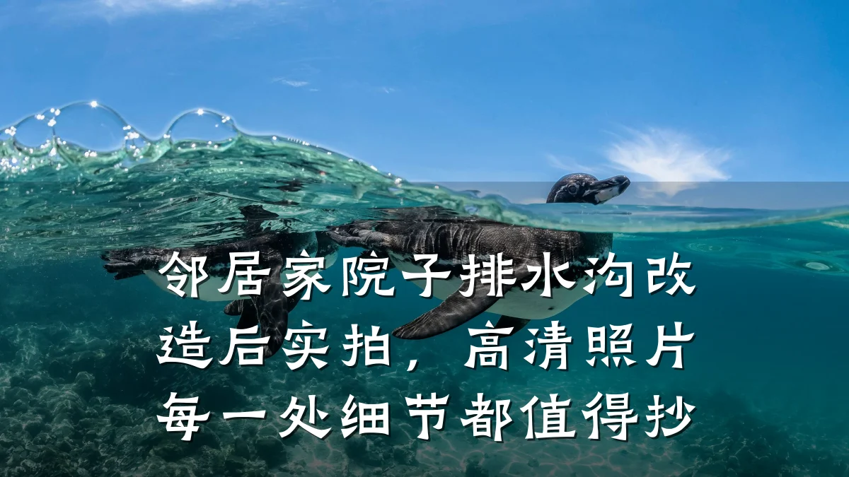 邻居家院子排水沟改造后实拍,高清照片每一处细节都值得抄