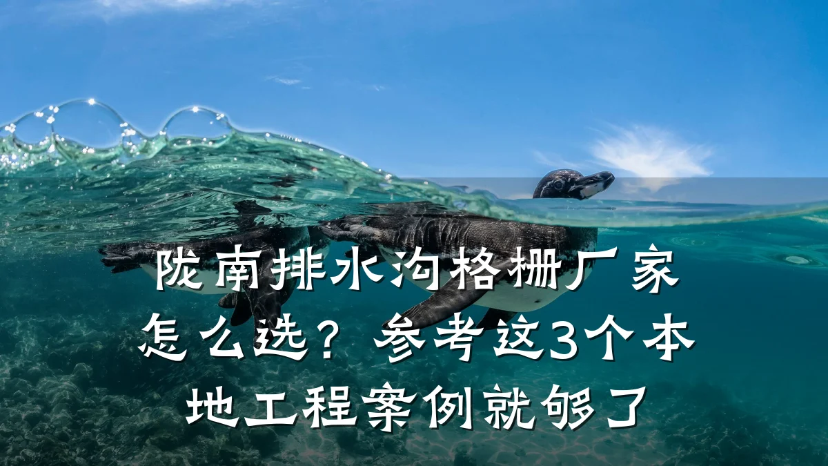 陇南排水沟格栅厂家怎么选?参考这3个本地工程案例就够了