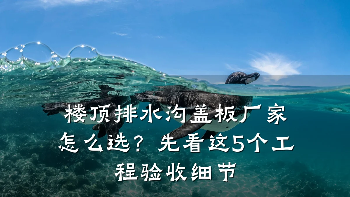 楼顶排水沟盖板厂家怎么选?先看这5个工程验收细节
