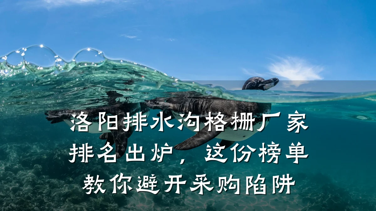 洛阳排水沟格栅厂家排名出炉,这份榜单教你避开采购陷阱