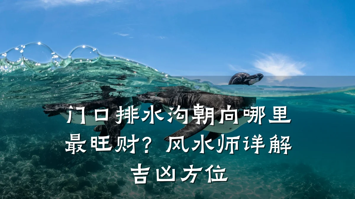 门口排水沟朝向哪里最旺财?风水师详解吉凶方位
