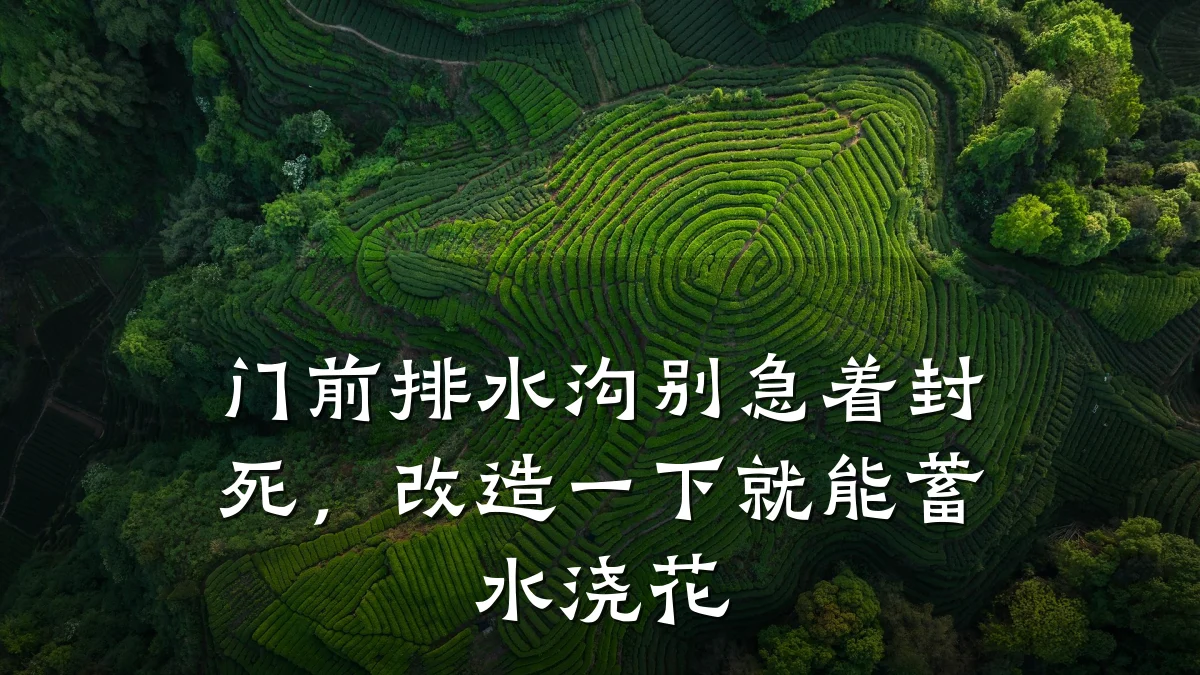 门前排水沟别急着封死,改造一下就能蓄水浇花