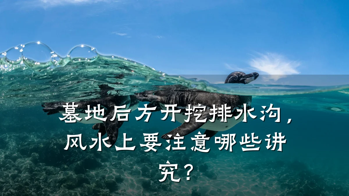 墓地后方开挖排水沟,风水上要注意哪些讲究?