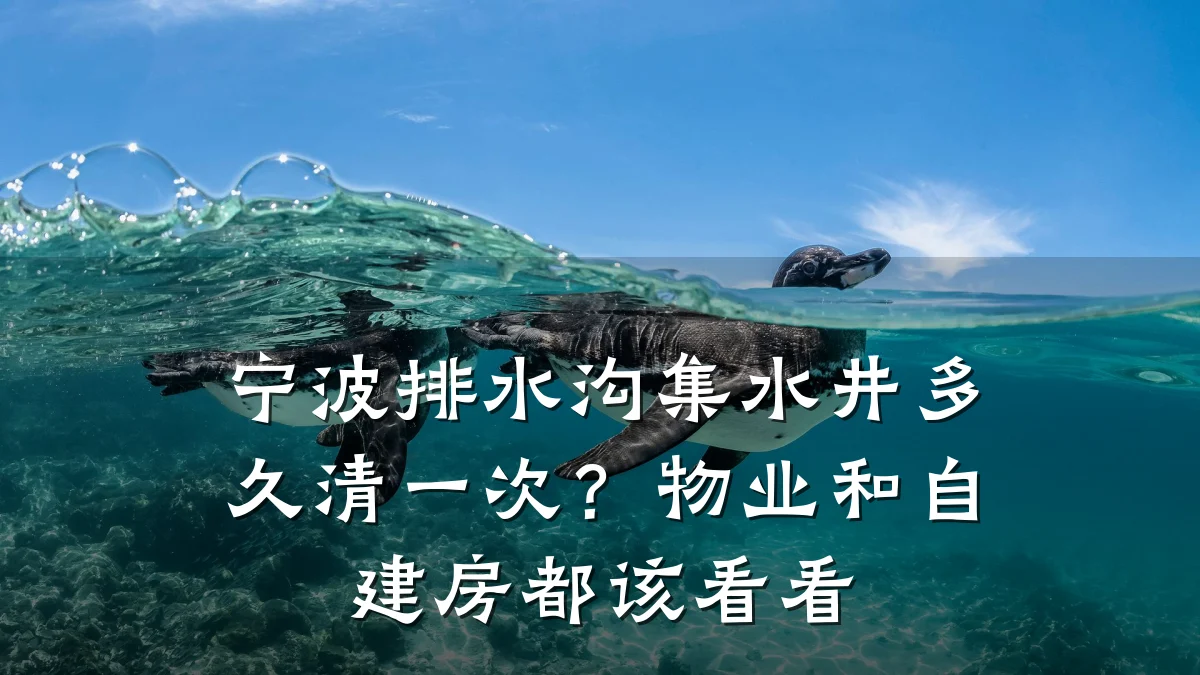 宁波排水沟集水井多久清一次?物业和自建房都该看看