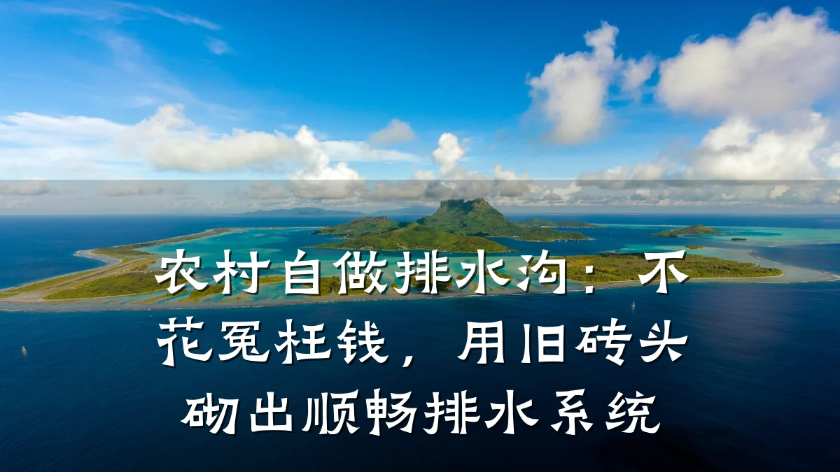 农村自做排水沟:不花冤枉钱,用旧砖头砌出顺畅排水系统