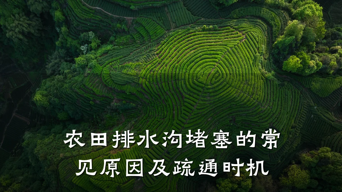 农田排水沟堵塞的常见原因及疏通时机