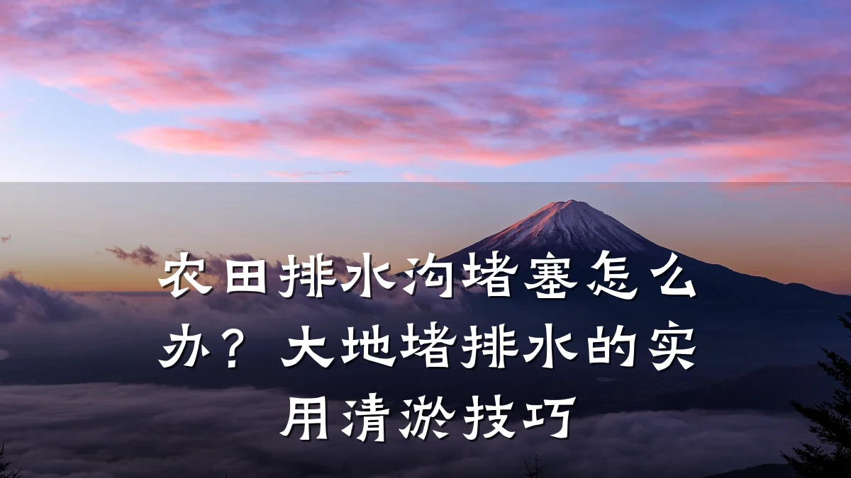 农田排水沟堵塞怎么办?大地堵排水的实用清淤技巧