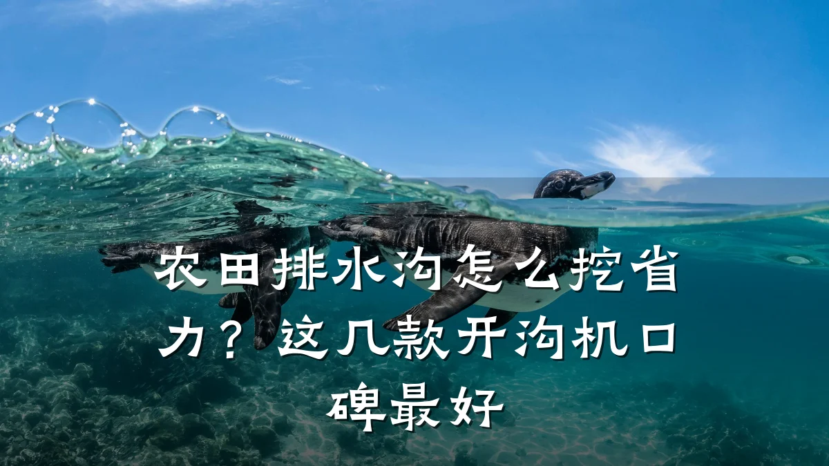 农田排水沟怎么挖省力？这几款开沟机口碑最好
