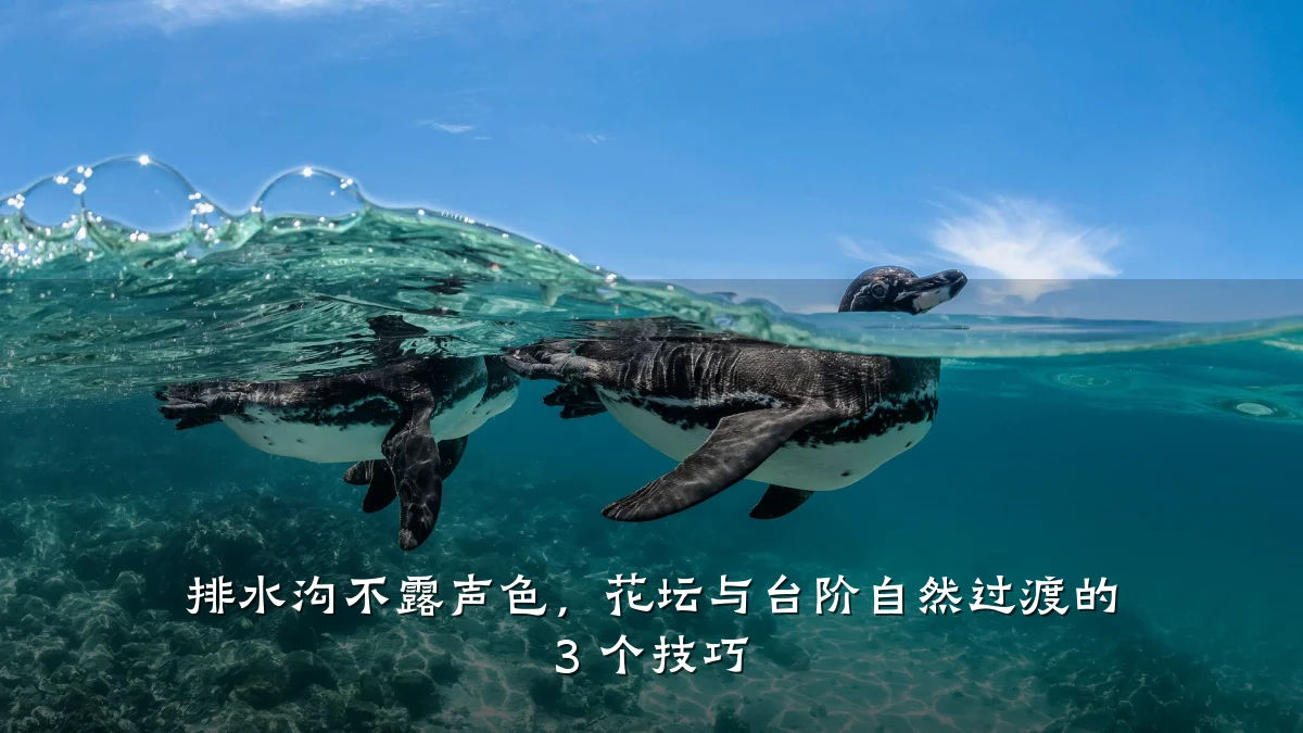排水沟不露声色,花坛与台阶自然过渡的 3 个技巧
