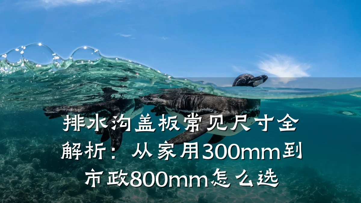 排水沟盖板常见尺寸全解析:从家用300mm到市政800mm怎么选