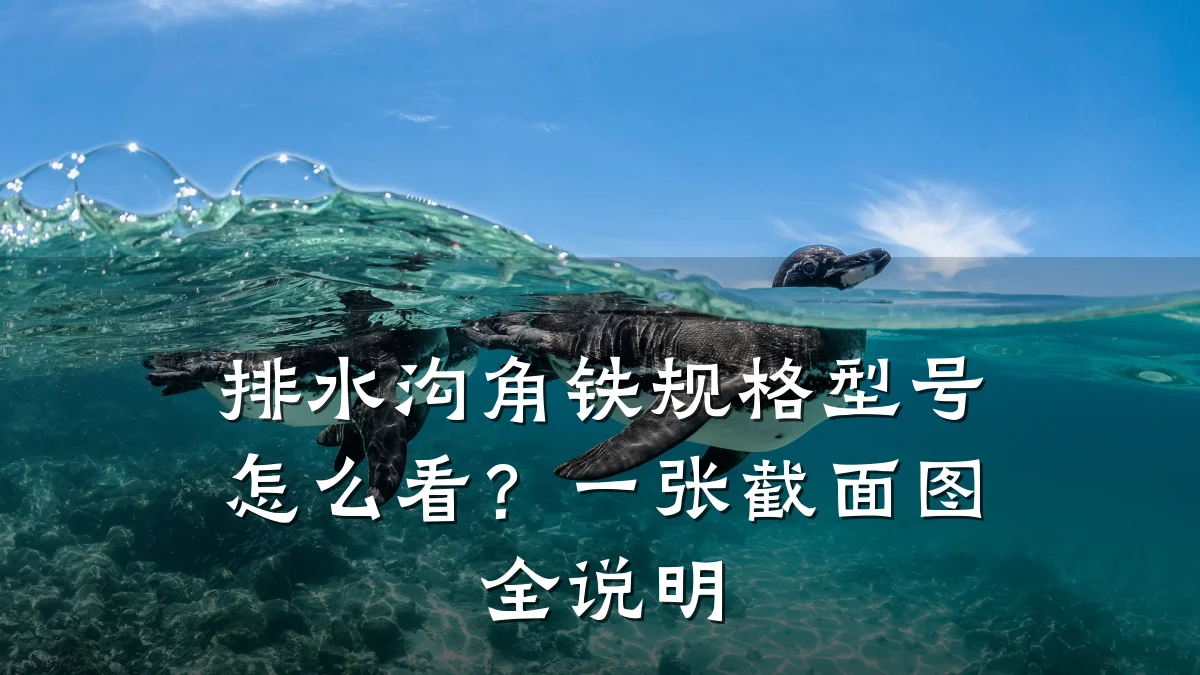 排水沟角铁规格型号怎么看?一张截面图全说明