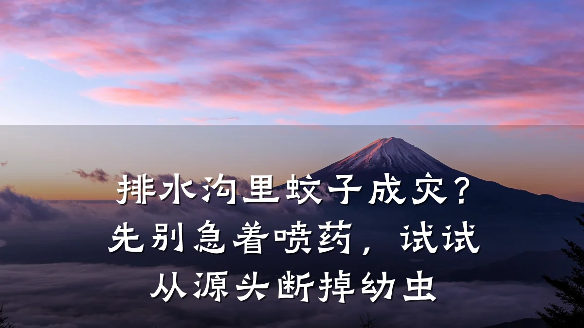 排水沟里蚊子成灾？先别急着喷药，试试从源头断掉幼虫